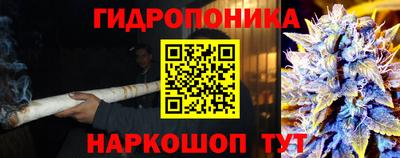 PSILOCYBIN Бузулук